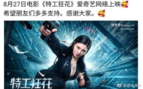 制作捷克共和国驾驶执照